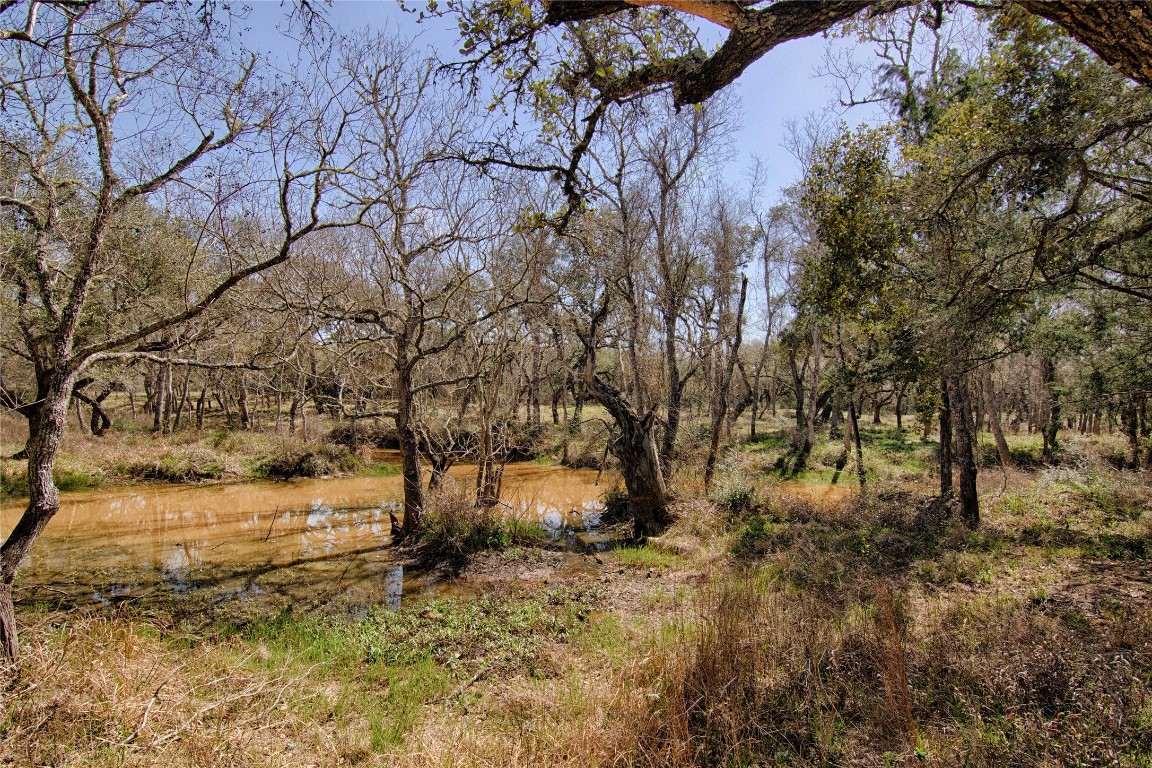 0 Wigeon Lane Columbus, TX 78934 - Photo 4 of 13 a view of a yard with trees