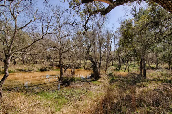 a view of a yard with trees