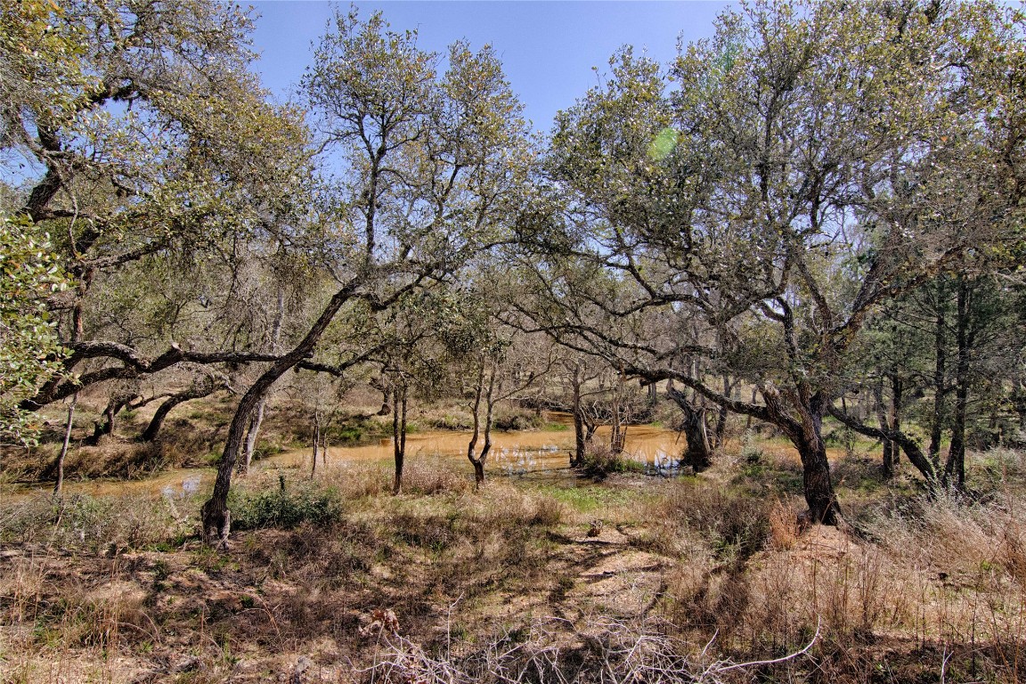 0 Wigeon Lane Columbus, TX 78934 - Photo 5 of 13 a view of outdoor space with lots of trees