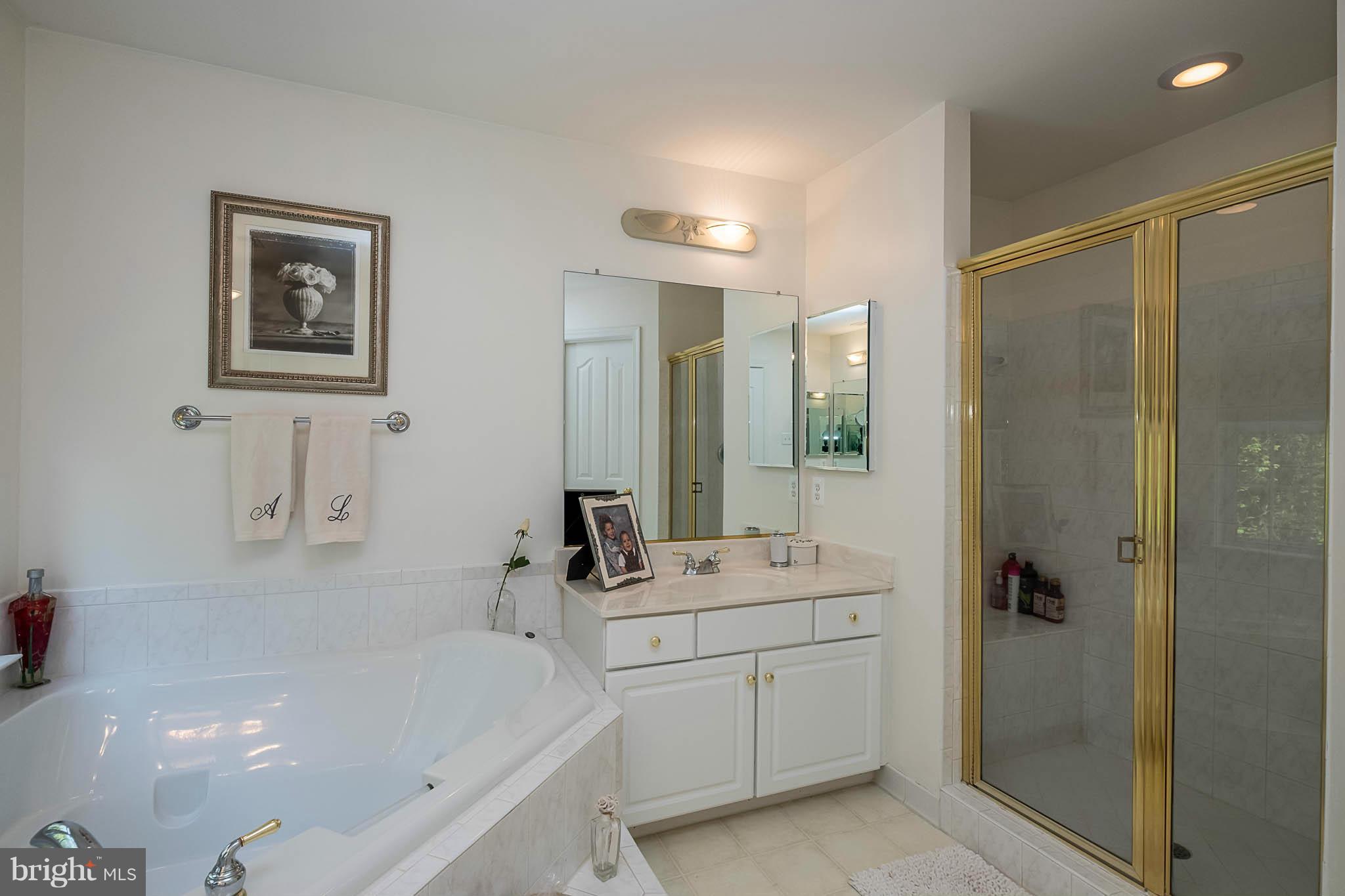 6213 Brooklyn Bridge Road Laurel, MD 20707 - Photo 17 of 30 Bath (Master)