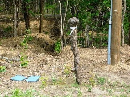 $410,000 | 2624 County Road 2975, Windom, TX 75492