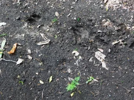 $410,000 | 2624 County Road 2975, Windom, TX 75492