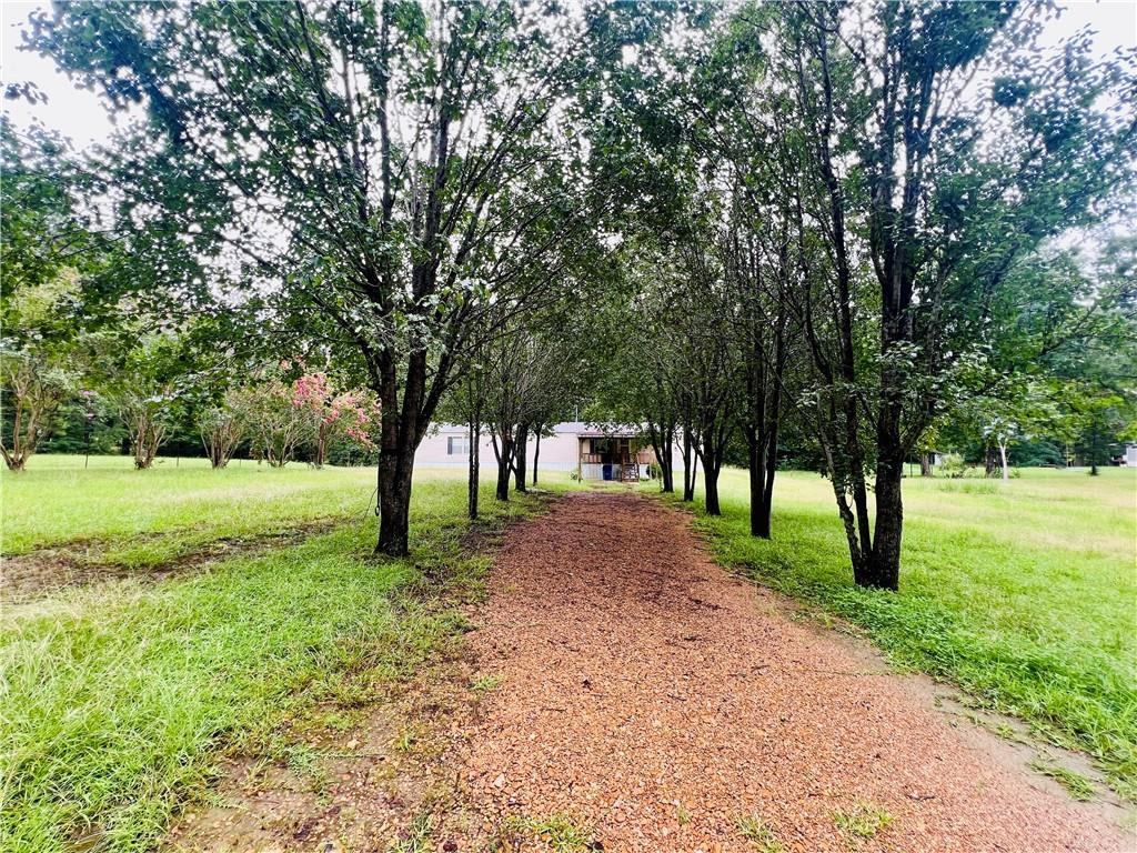 124 Welcome Road Jena, LA 71342 - Photo 1 of 20 Gallery Image 1