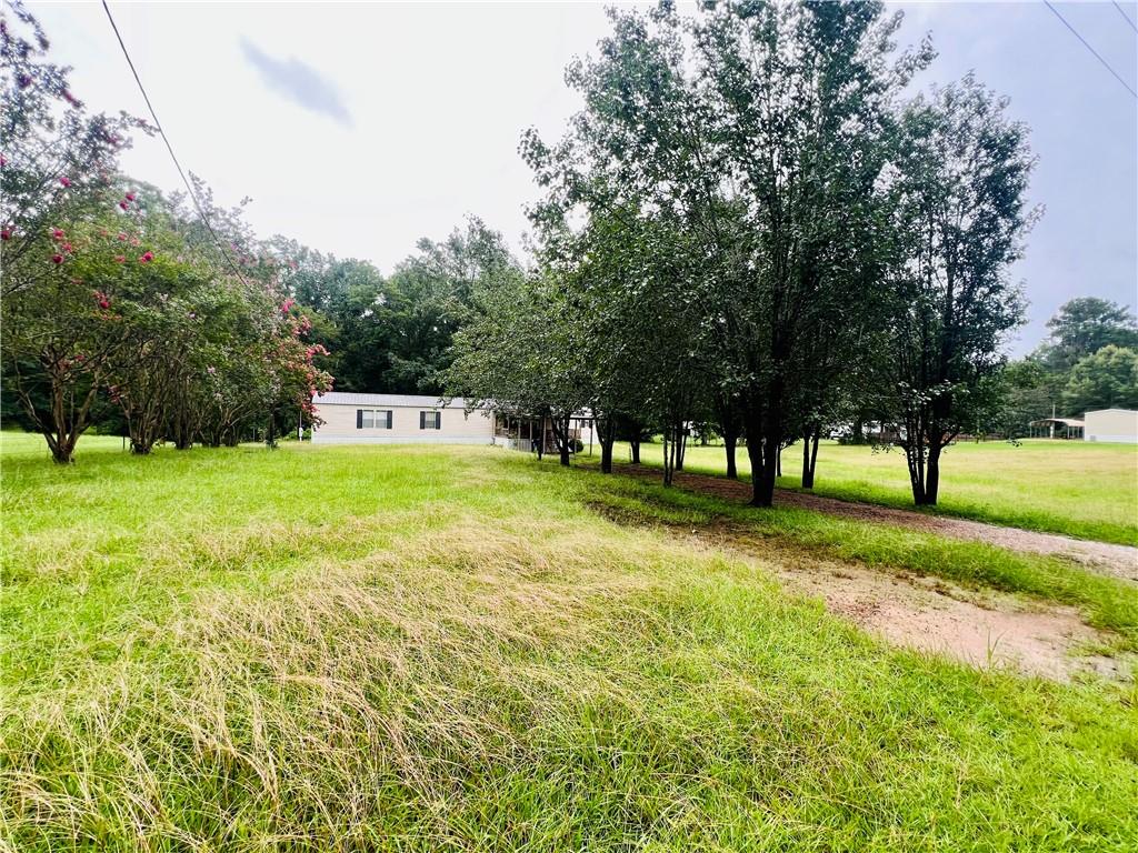 124 Welcome Road Jena, LA 71342 - Photo 2 of 20 Gallery Image 2
