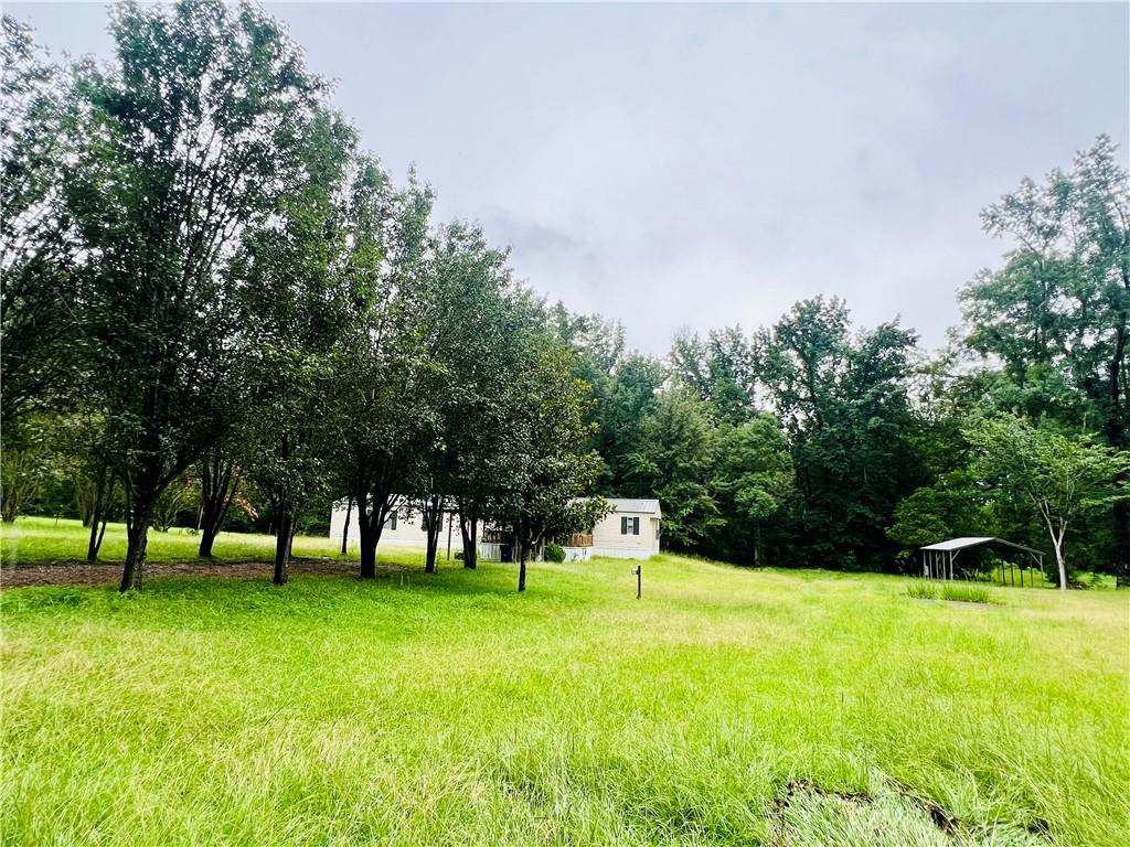 124 Welcome Road Jena, LA 71342 - Photo 3 of 20 Gallery Image 3