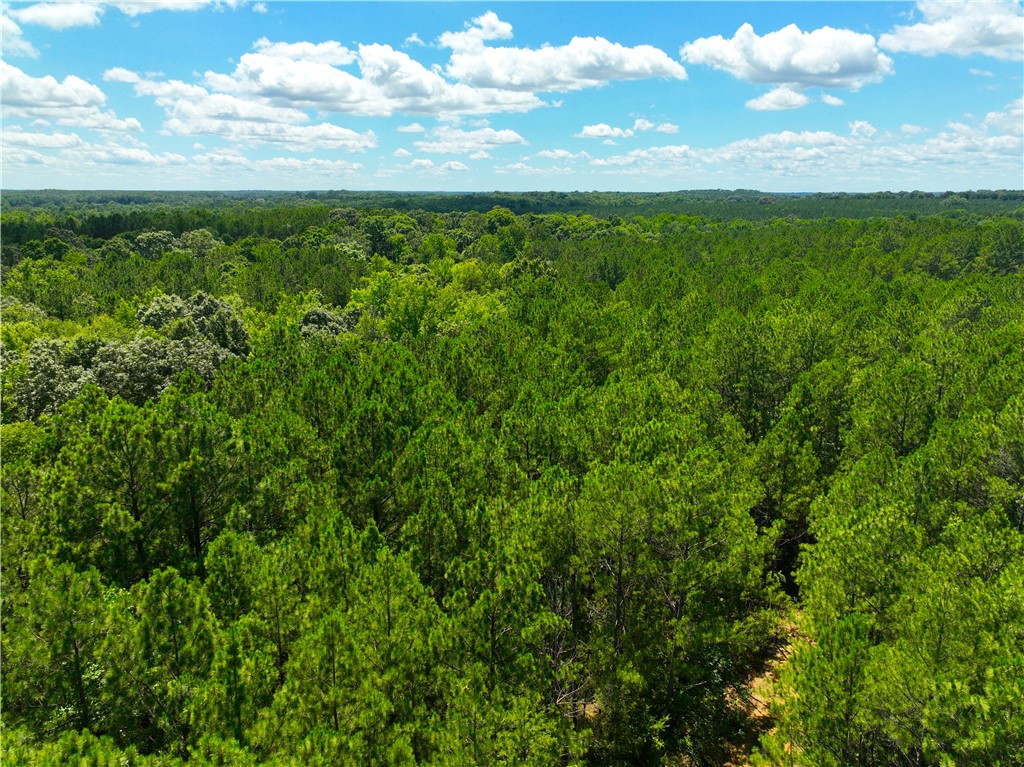 401 Coleman Road Clinton, SC 29325 - Photo 4 of 25