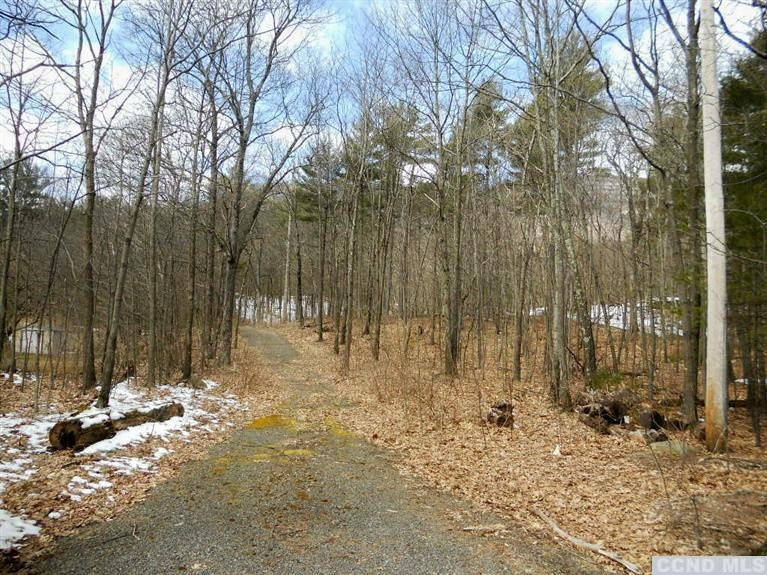 0 Bogart Road Catskill, NY 12414 - Photo 1 of 3 Photo 1