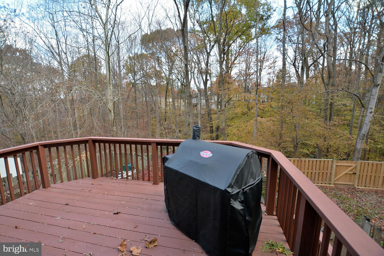 7907 Forest Path Way Springfield, VA 22153 - Photo 27 of 34 SUNDECK