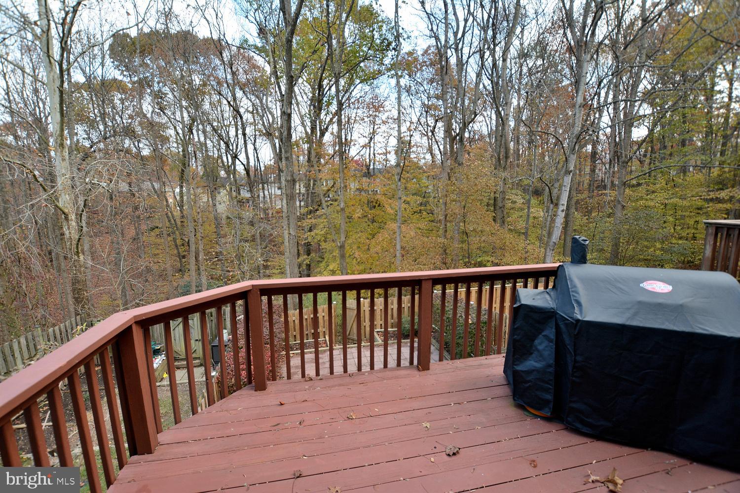 7907 Forest Path Way Springfield, VA 22153 - Photo 28 of 34 SUNDECK