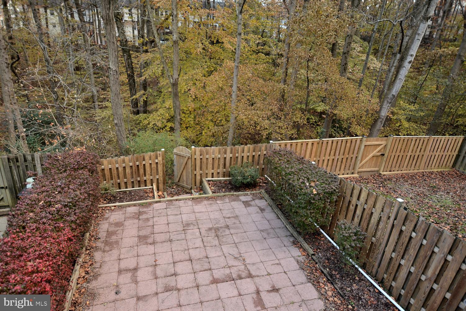 7907 Forest Path Way Springfield, VA 22153 - Photo 31 of 34 BACKYARD