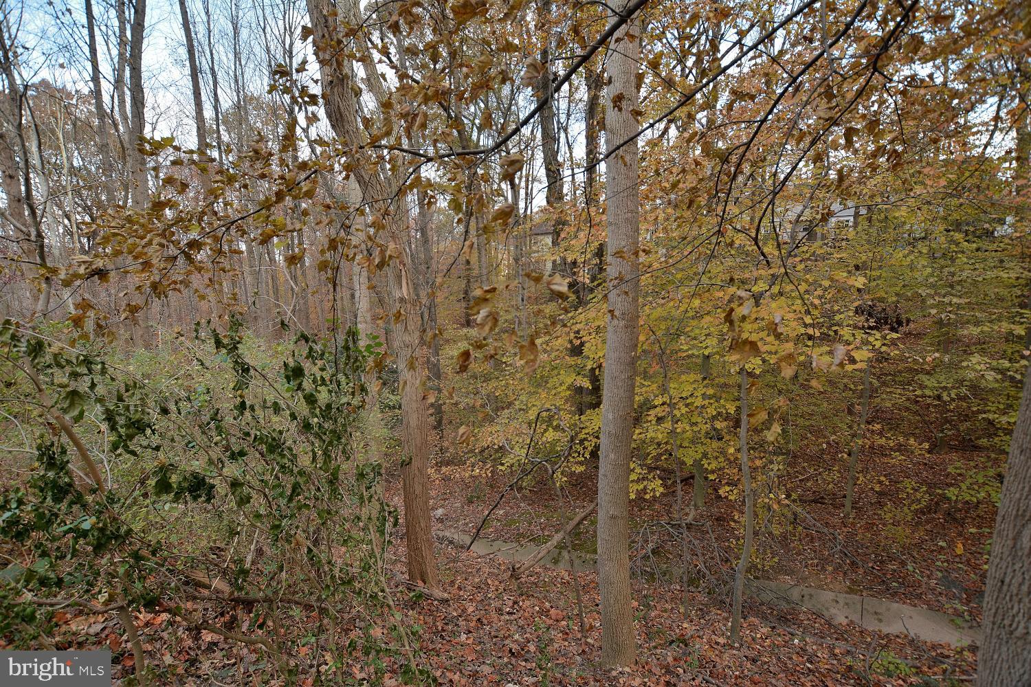 7907 Forest Path Way Springfield, VA 22153 - Photo 34 of 34 VIEW