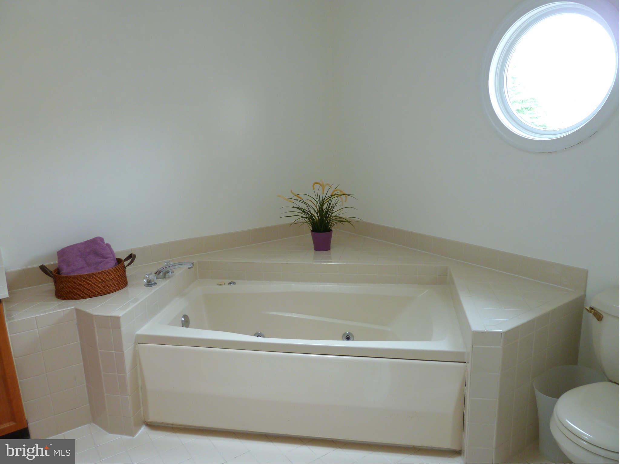 8327 Ridge Crossing Lane Springfield, VA 22152 - Photo 20 of 25 Bath (Master)
