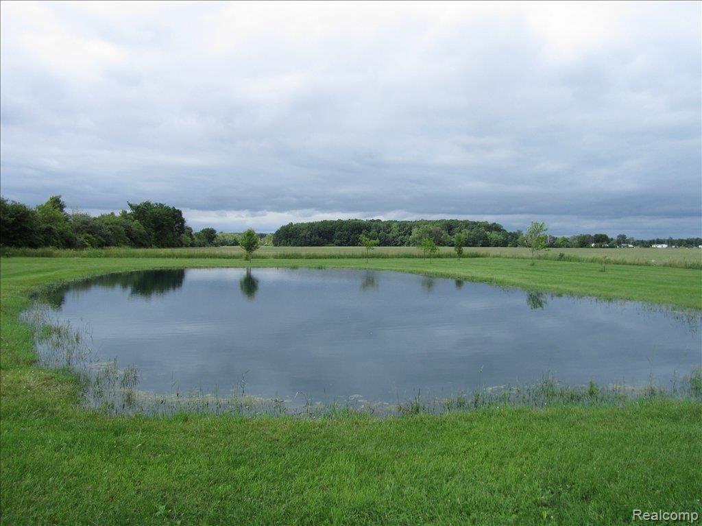 10600 Sparling Road Memphis, MI 48041 - Photo 10 of 20 IMG_0546