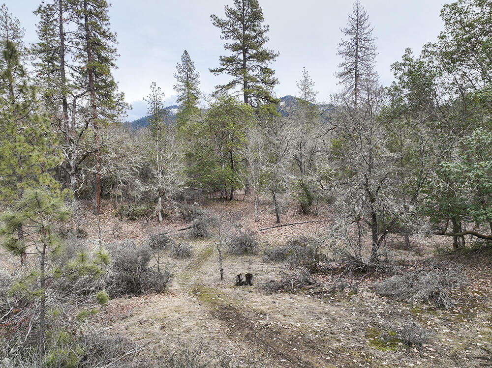 0 Queens Branch Road Rogue River, OR 97537 - Photo 12 of 36 12