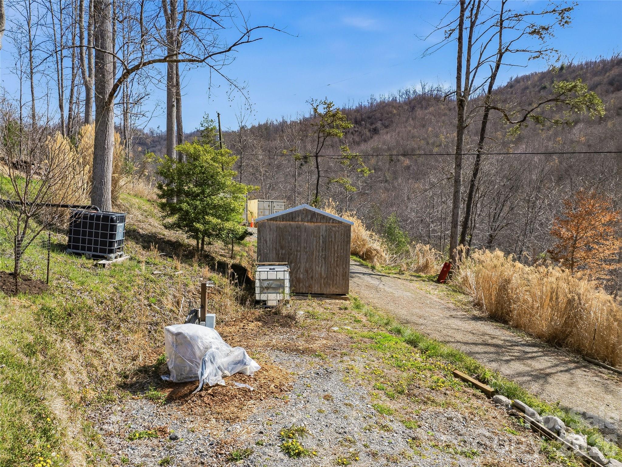 182 Whittemore Branch Road Barnardsville, NC 28709 - Photo 32 of 46 a view of a backyard