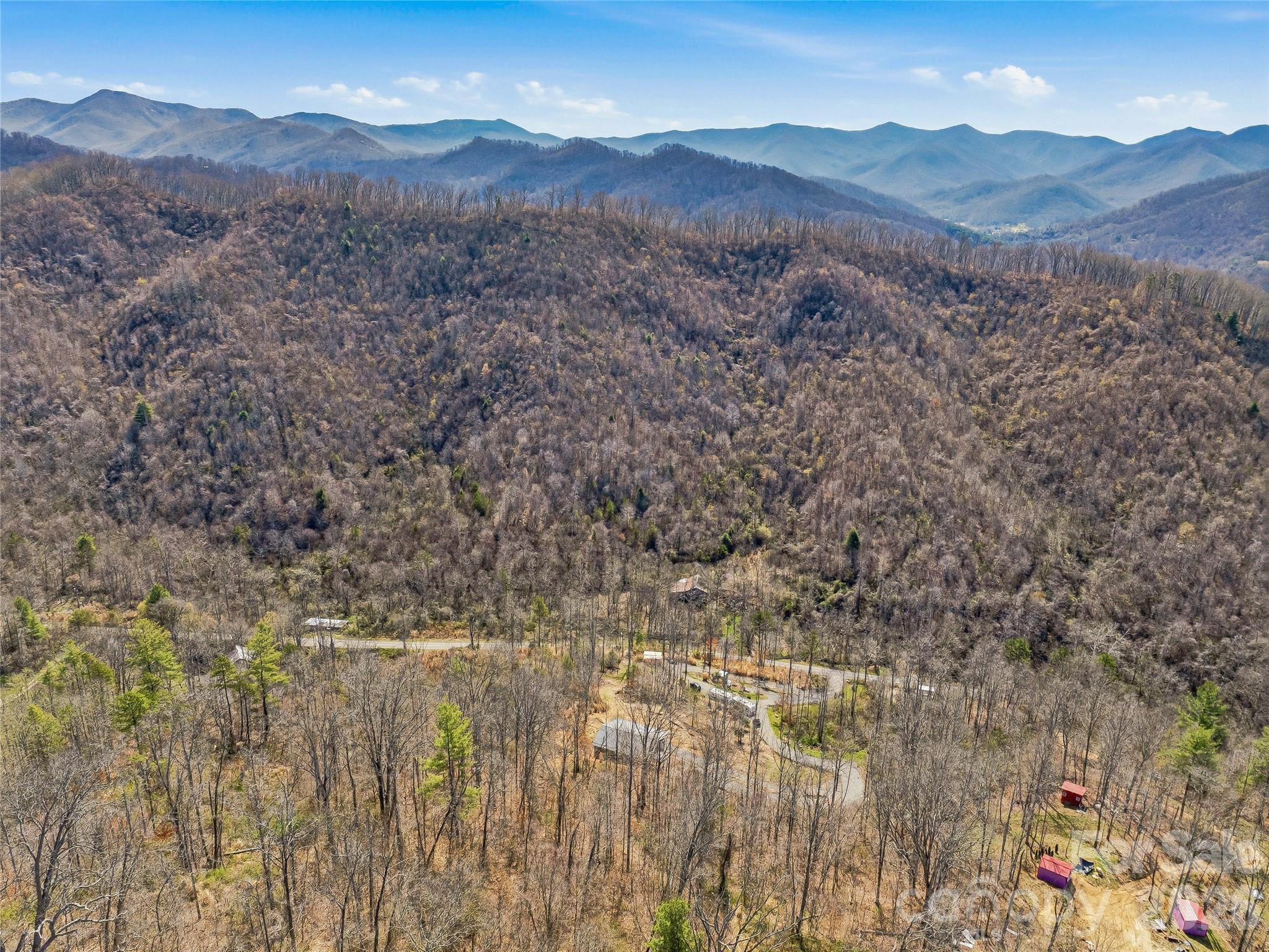 182 Whittemore Branch Road Barnardsville, NC 28709 - Photo 37 of 46 a view of a forest with mountains in the background