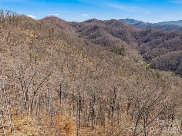 $450,000 | 182 Whittemore Branch Road, Barnardsville, NC 28709