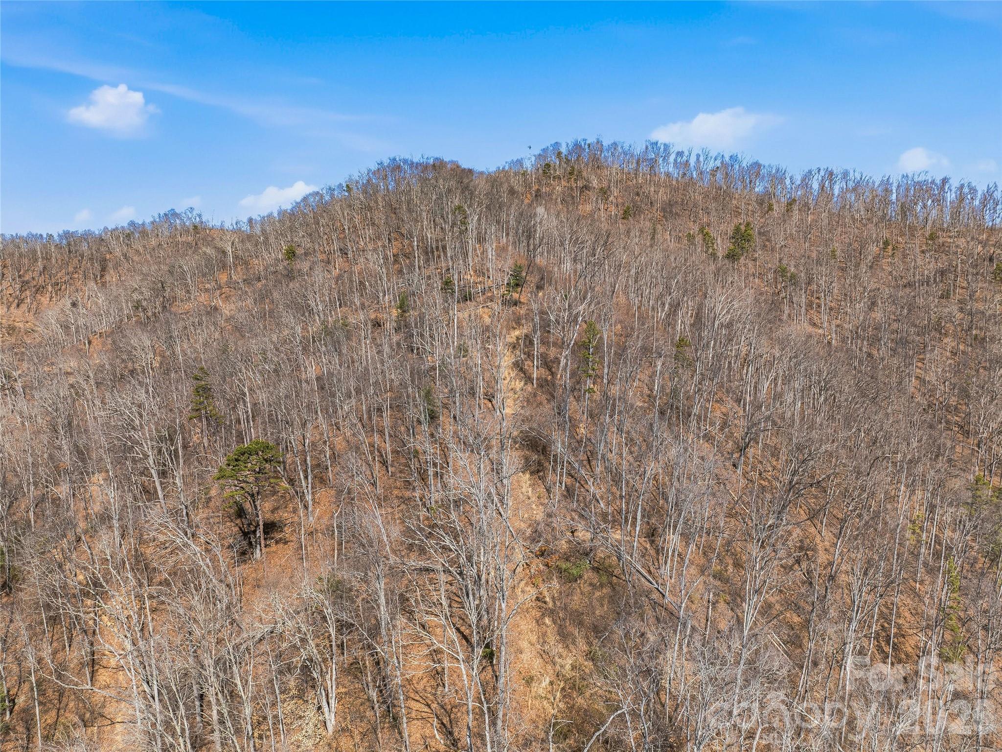 182 Whittemore Branch Road Barnardsville, NC 28709 - Photo 44 of 46 a view of a dry yard with mountains in the background