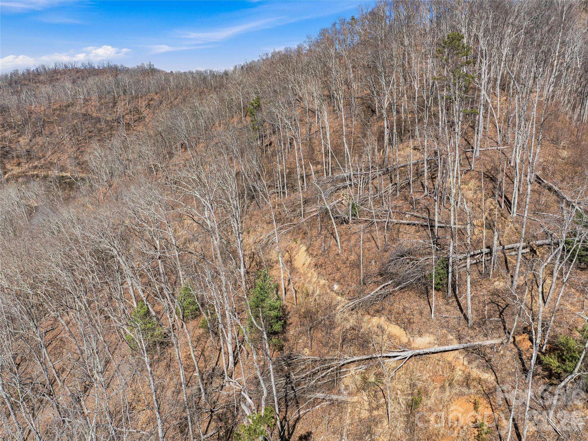 182 Whittemore Branch Road Barnardsville, NC 28709 - Photo 45 of 46 a view of a yard