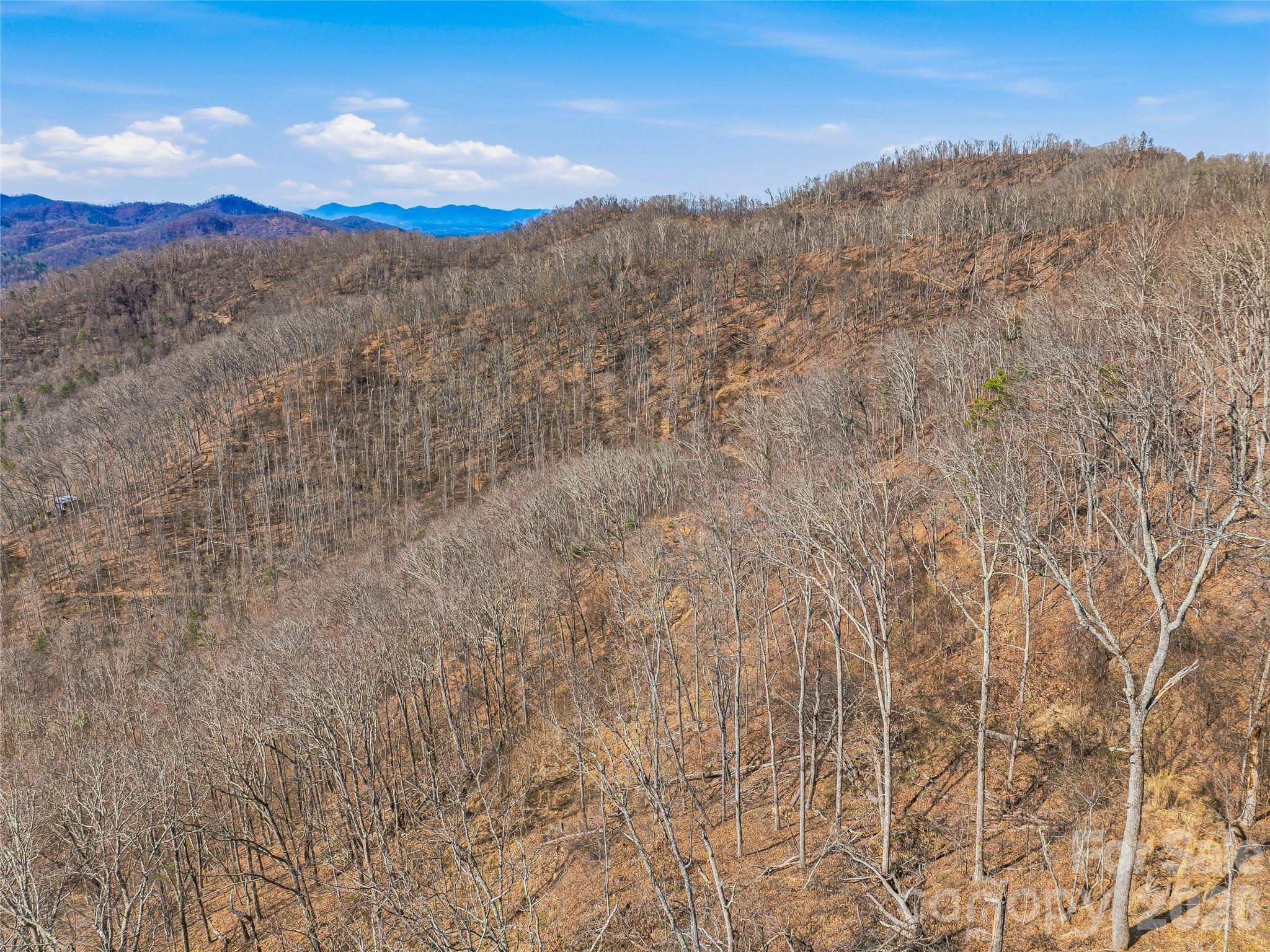 182 Whittemore Branch Road Barnardsville, NC 28709 - Photo 46 of 46 a view of mountain view with mountains in the background