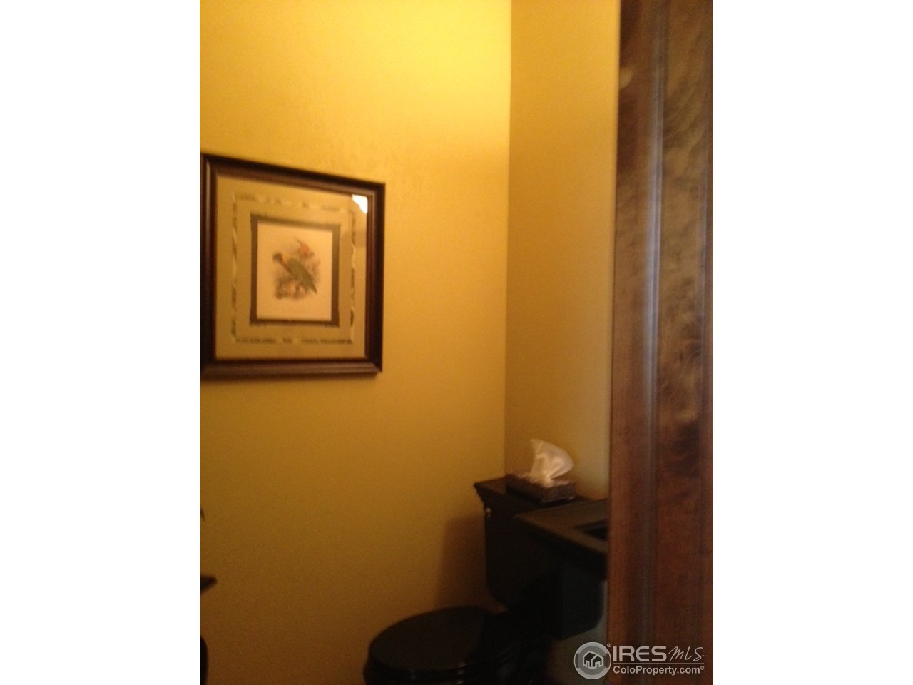 1475 Falcon Ridge Road Eaton, CO 80615 - Photo 17 of 19 Gallery Image 17