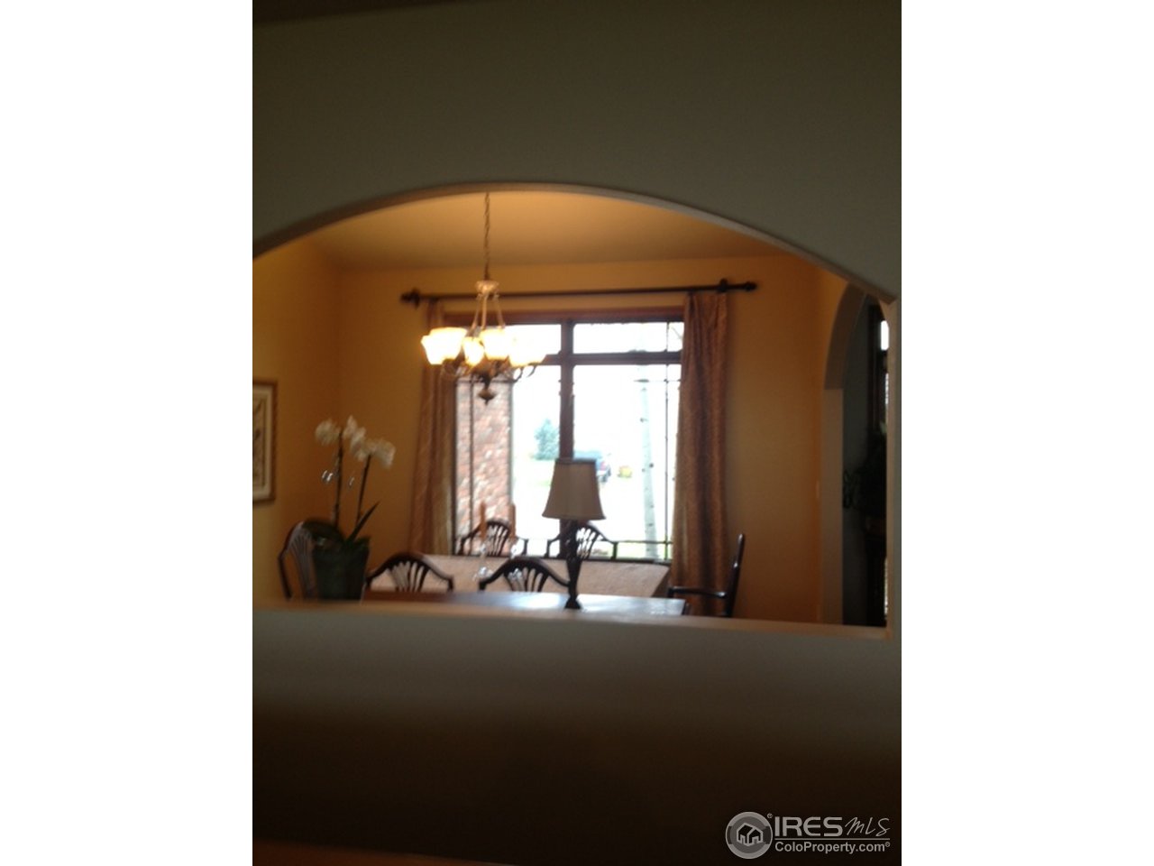 1475 Falcon Ridge Road Eaton, CO 80615 - Photo 9 of 19 Gallery Image 9