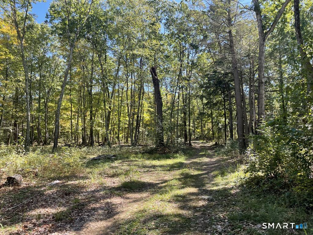 Kozey Road Eastford, CT 06242 - Photo 3 of 14 a view of outdoor space with trees