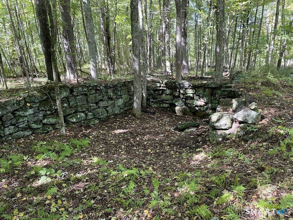 Kozey Road Eastford, CT 06242 - Photo 10 of 14 a view of a backyard of the house