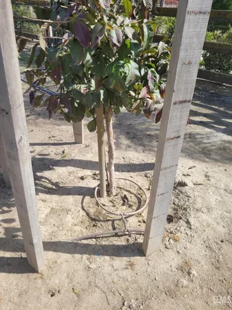 $489,000 | Undisclosed Address, Bakersfield, CA 93314