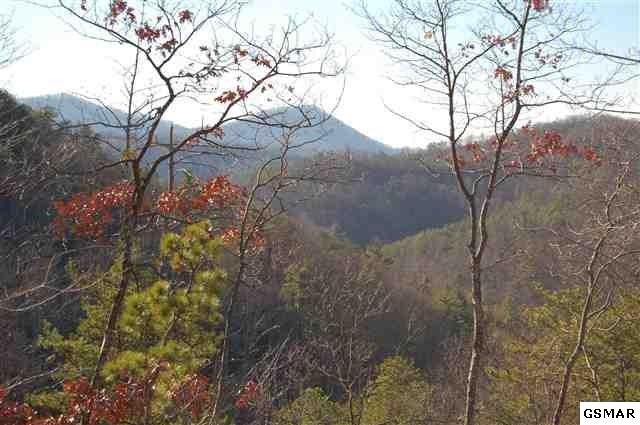 2675 South Clear Fork Road Sevierville, TN 37862 - Photo 3 of 14 Gallery Image 3