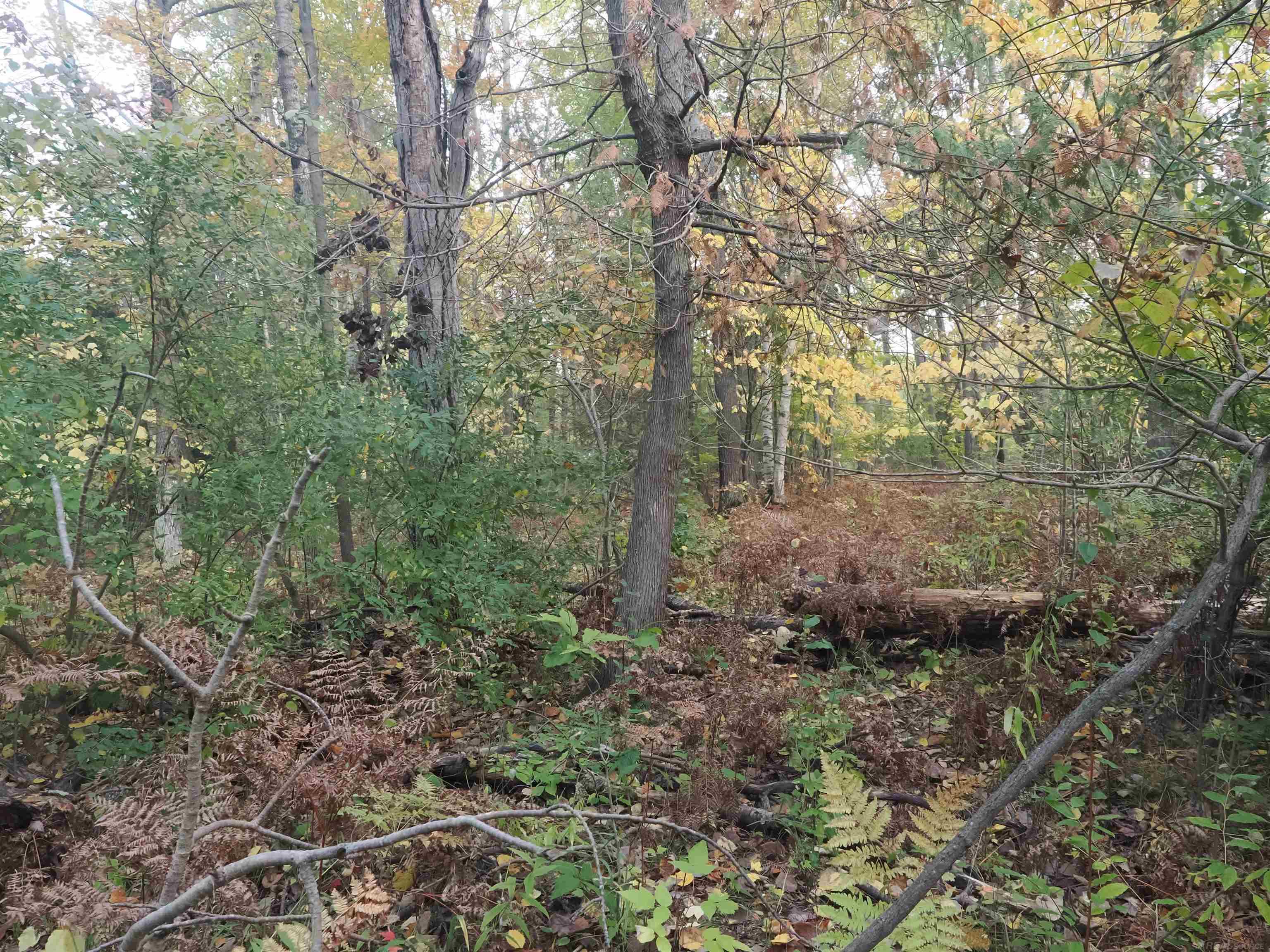 Xxx Tolan Road Spruce, MI 48762 - Photo 58 of 79