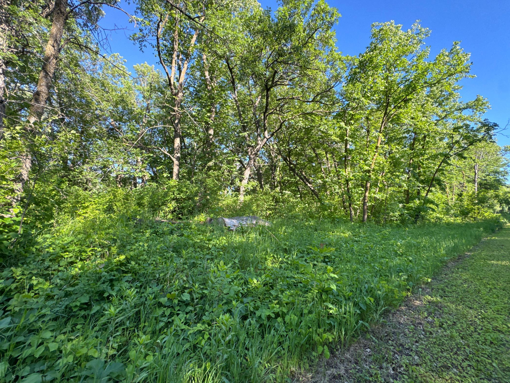Xxxxx German Lake Road Underwood, MN 56586 - Photo 3 of 16