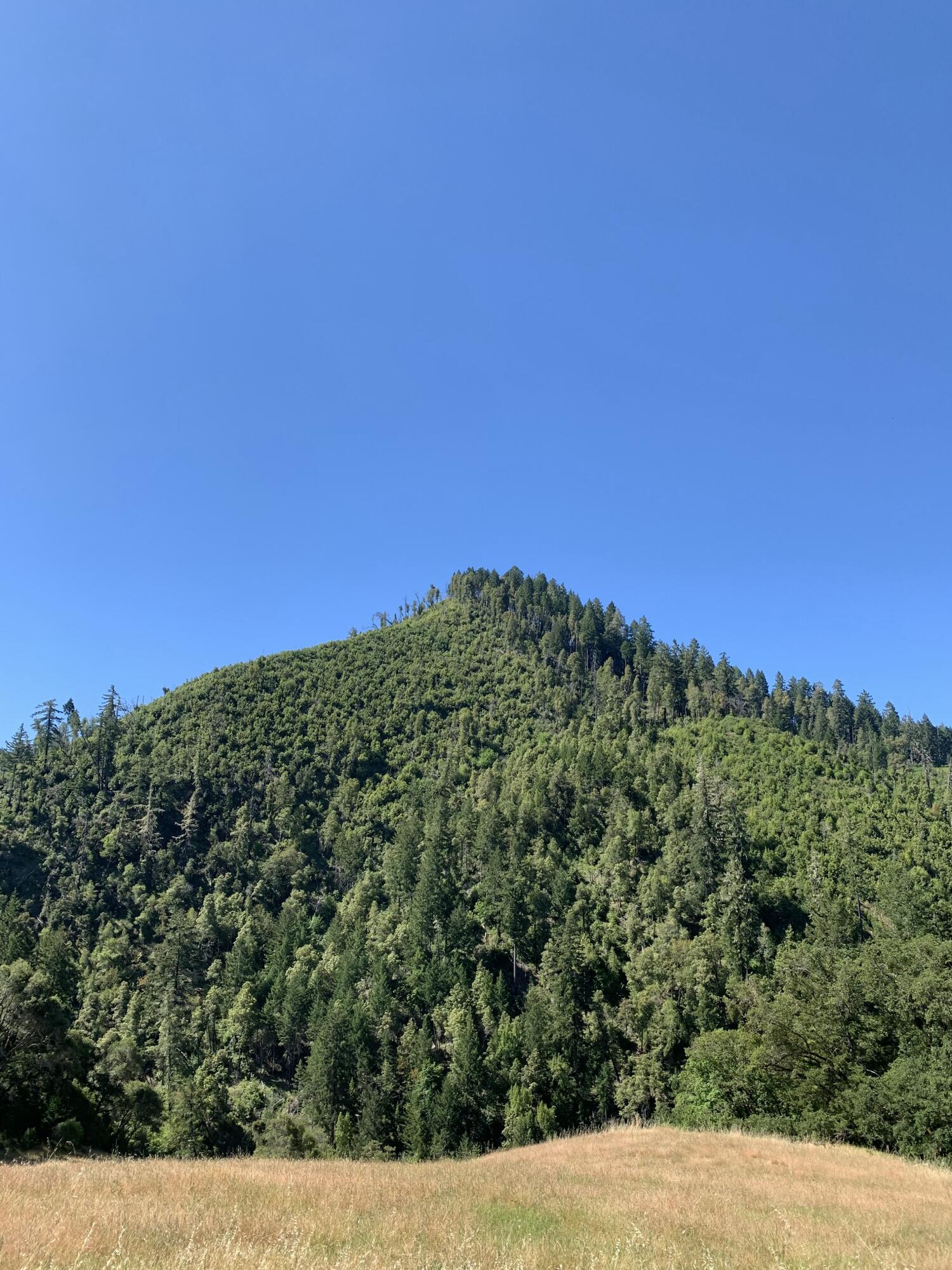 160-acres Alderpoint Road Alderpoint, CA 95511 - Photo 10 of 16