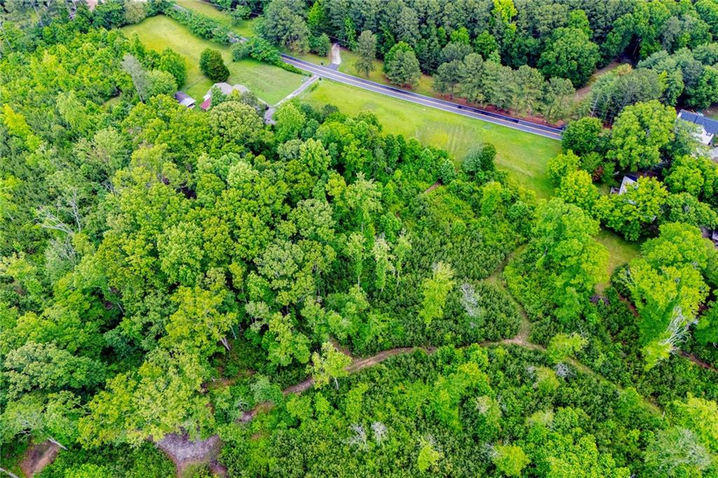 0 Lindsey Lake Road Dallas, GA 30157 - Photo 14 of 46