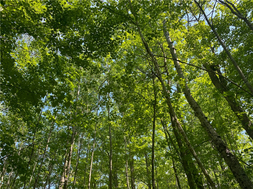 Lot 7 Secluded Trail Hayward, WI 54843 - Photo 30 of 41