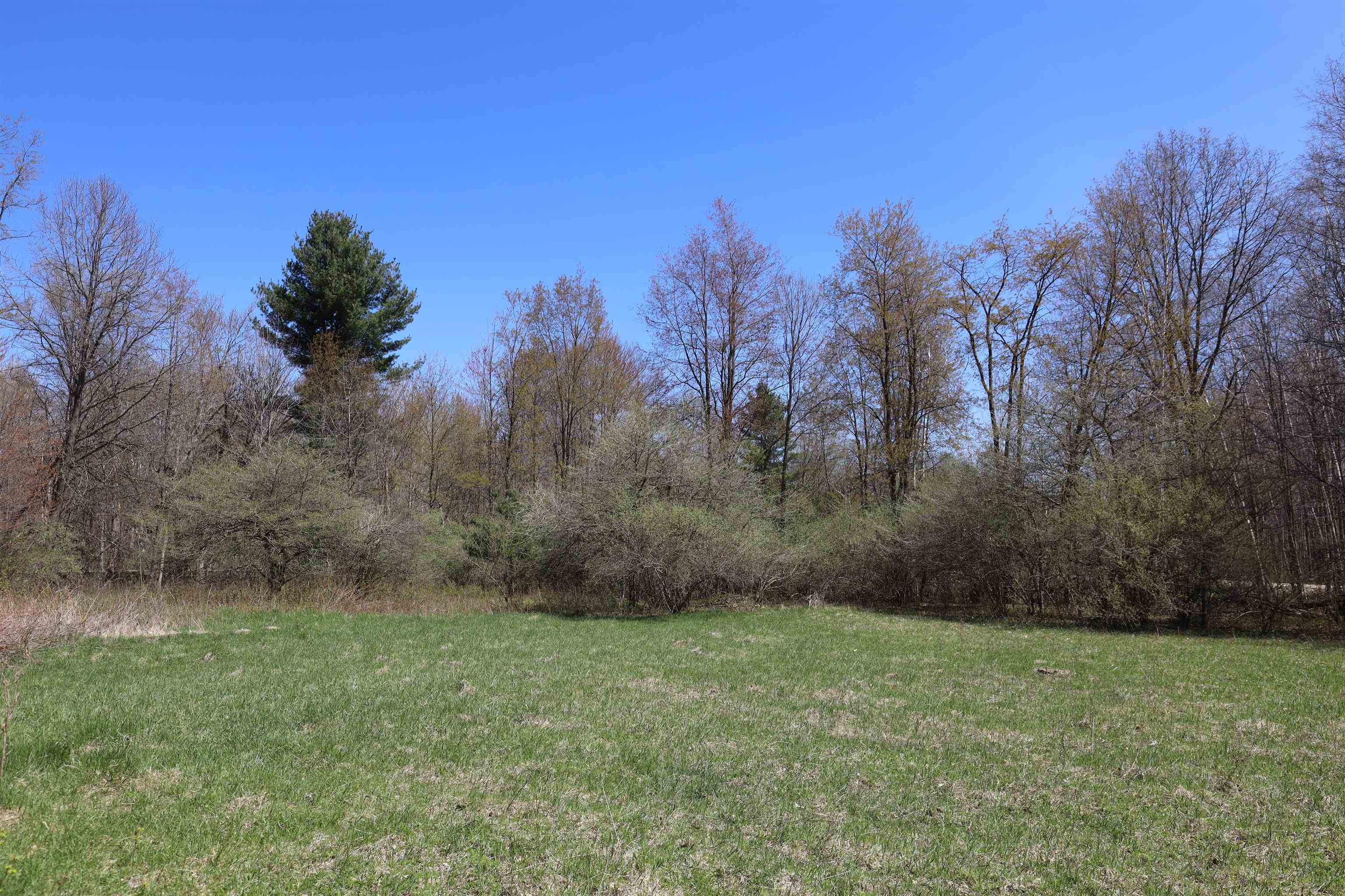 4205 Salt River Road Shepherd, MI 48883 - Photo 9 of 16