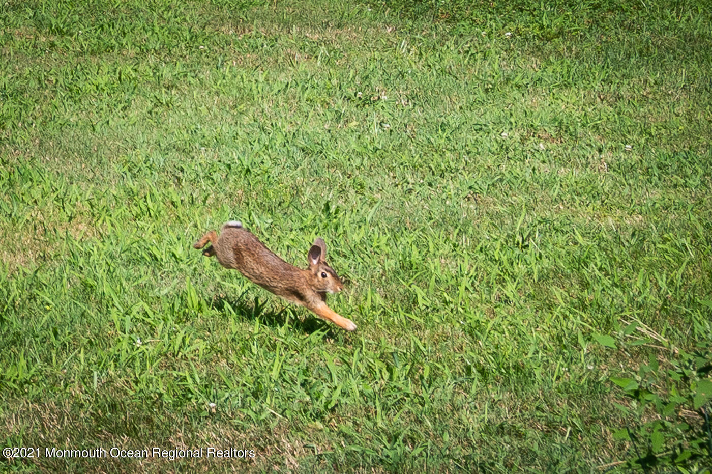 11 Mayfair Road Holmdel, NJ 07733 - Photo 28 of 28 visitor