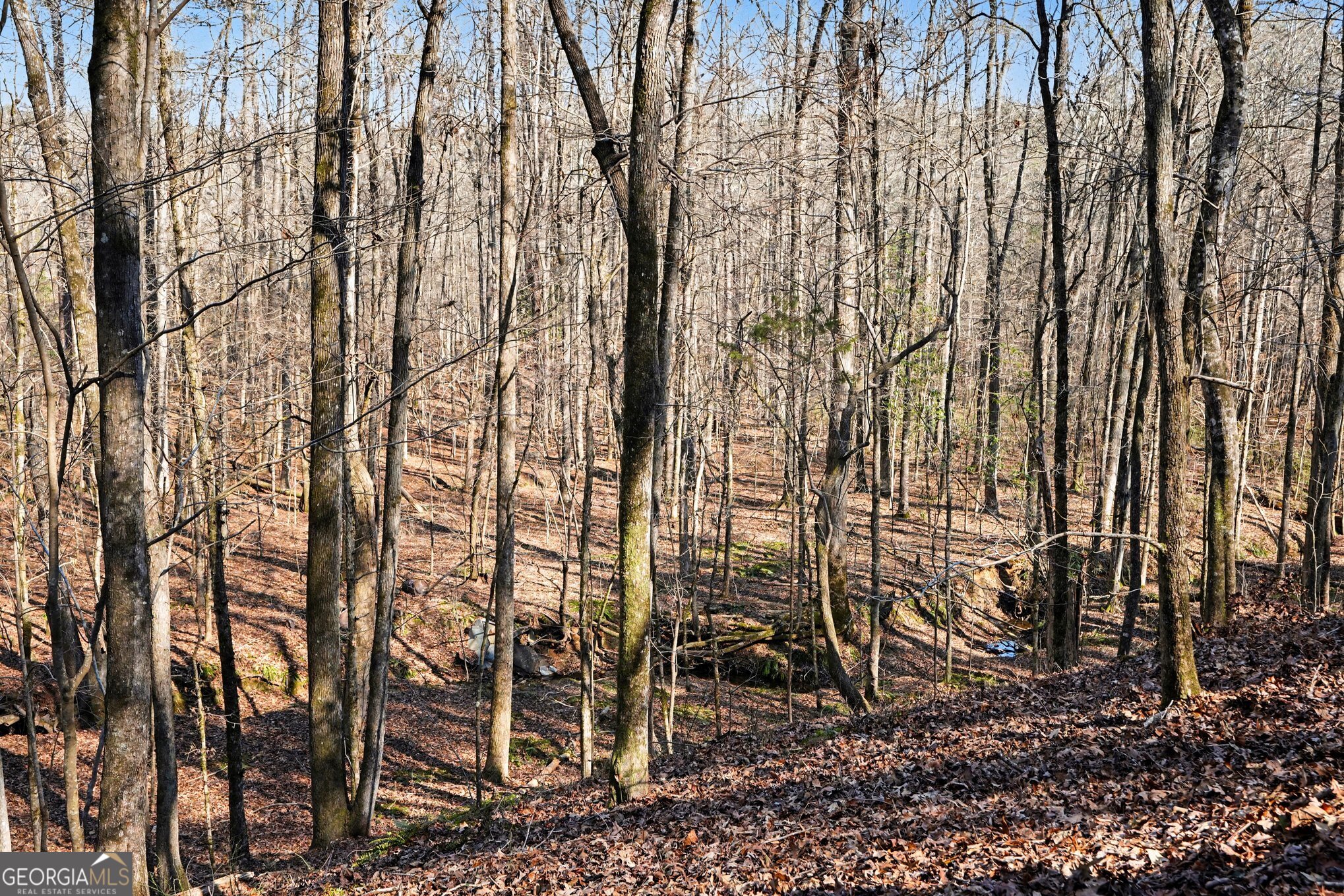0 Vineyard Road Thomaston, GA 30286 - Photo 12 of 40
