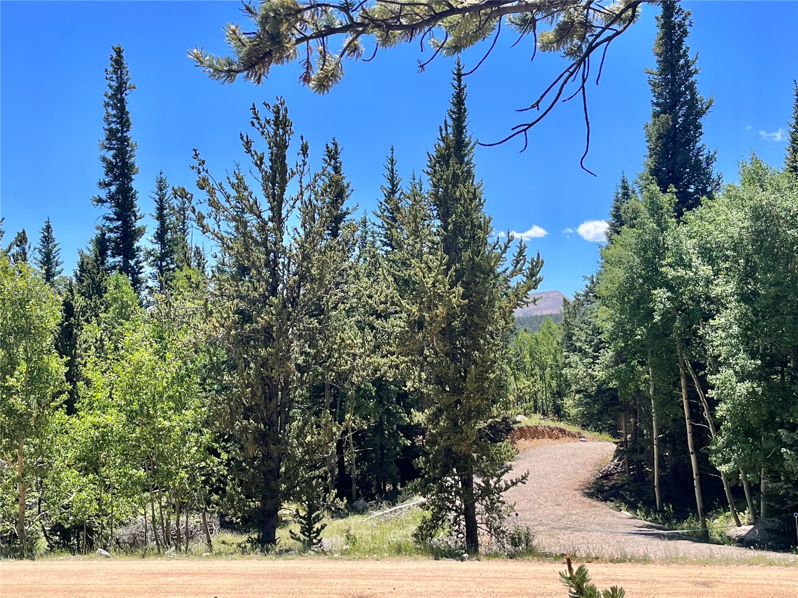 845 Adventure Road Alma, CO 80420 - Photo 2 of 31 Gallery Image 2