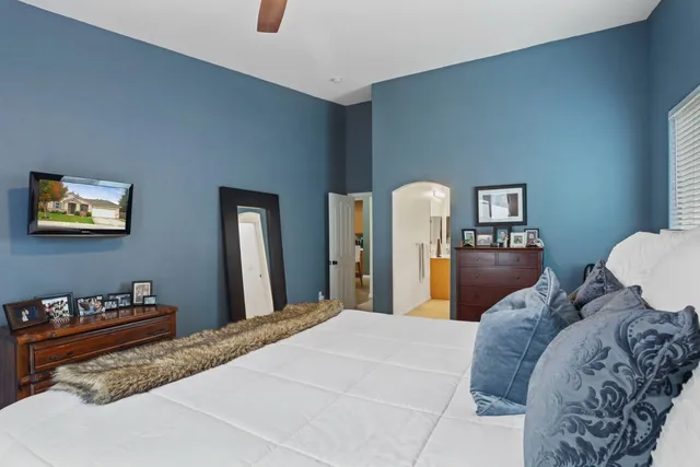 a view of a yard with plants and trees