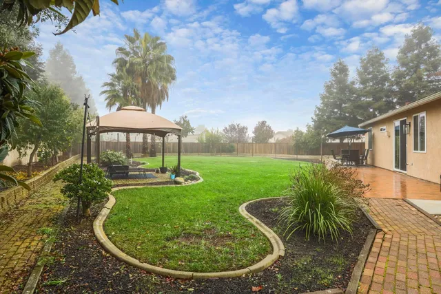 a view of a park with large trees