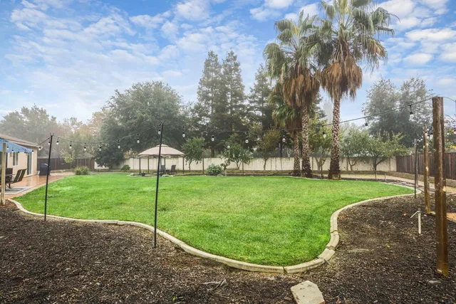 a view of a backyard