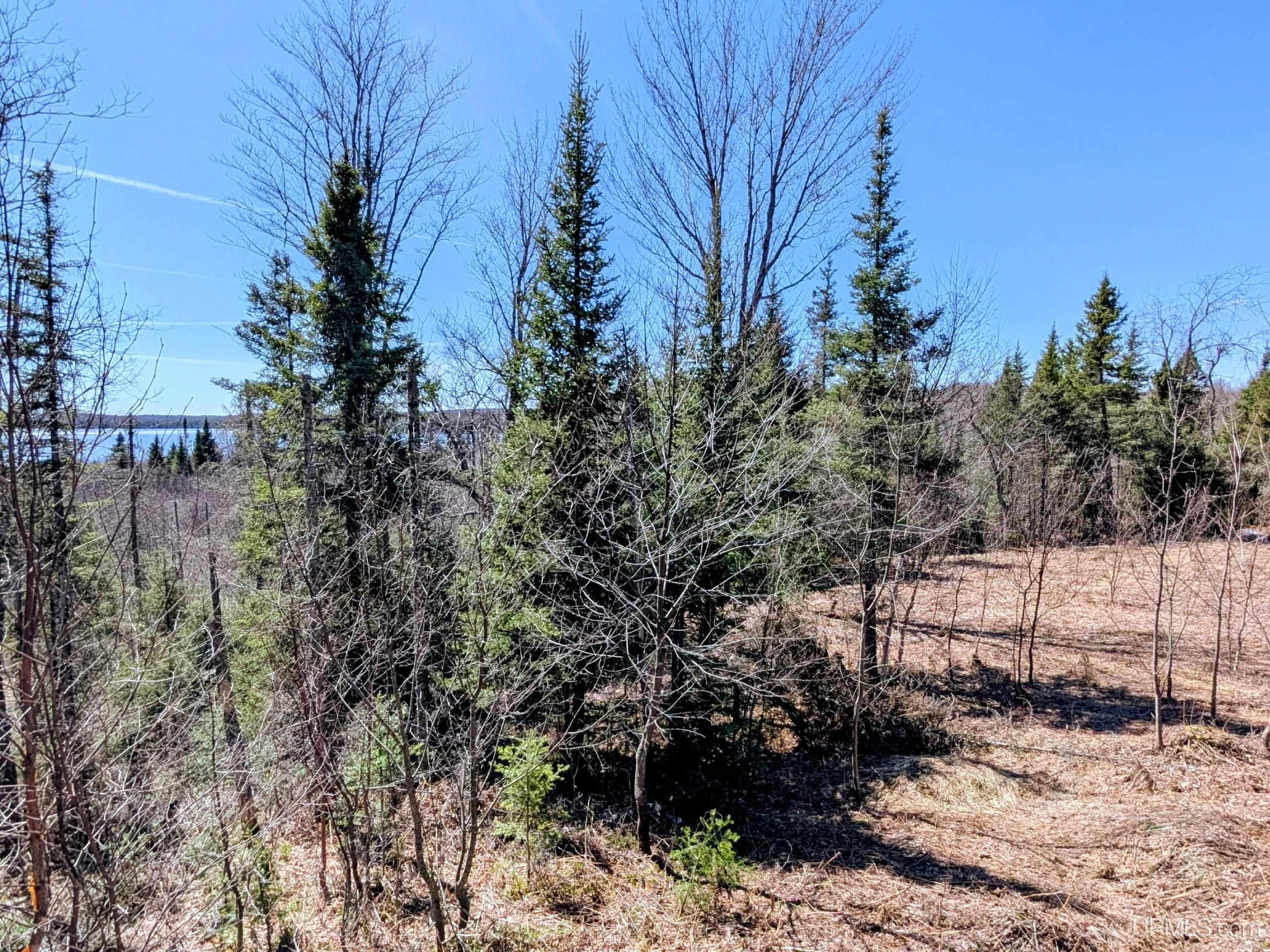 8-acres East Cable Lake Road Crystal Falls, MI 49920 - Photo 7 of 20