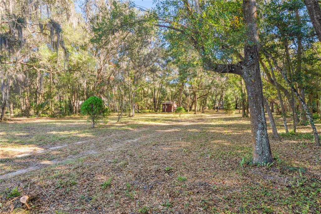 26861 Mondon Hill Road Brooksville, FL 34602 - Photo 36 of 51 a view of outdoor space with trees