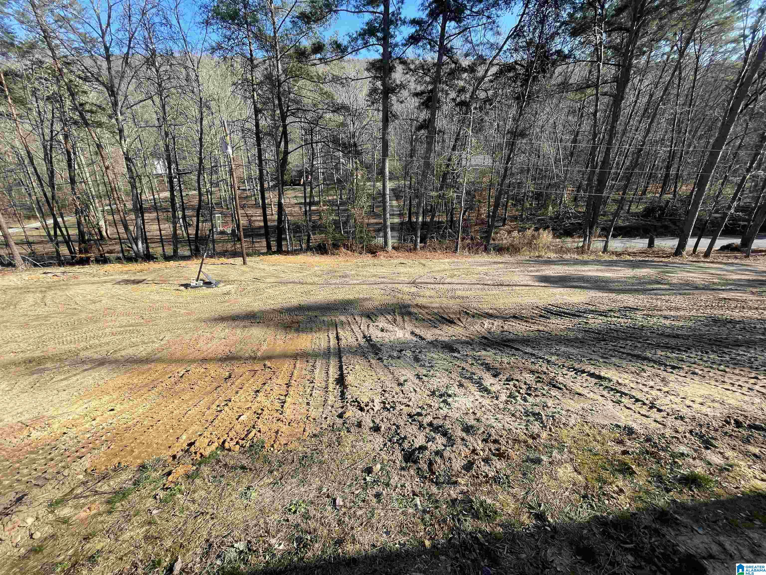 1084 Pine Mountain Road Remlap, AL 35133 - Photo 29 of 29