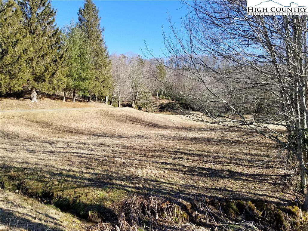 Lot 4 Gualtney Road Banner Elk, NC 28604 - Photo 2 of 12 Gallery Image 2