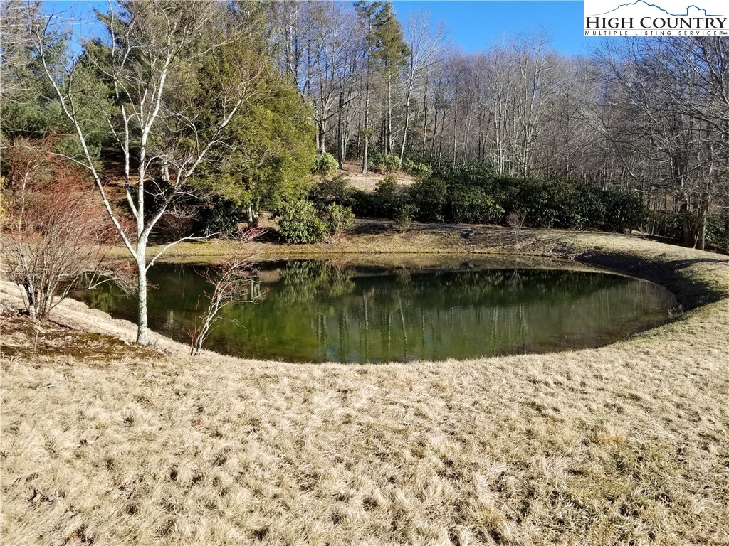 Lot 4 Gualtney Road Banner Elk, NC 28604 - Photo 7 of 12 Gallery Image 7