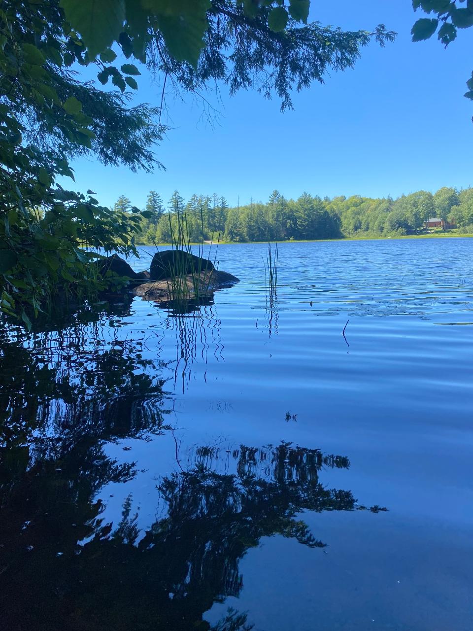 On Musky Point Road, Unit LOT 3 Mercer, WI 54547 - Photo 6 of 13 Gallery Image 6
