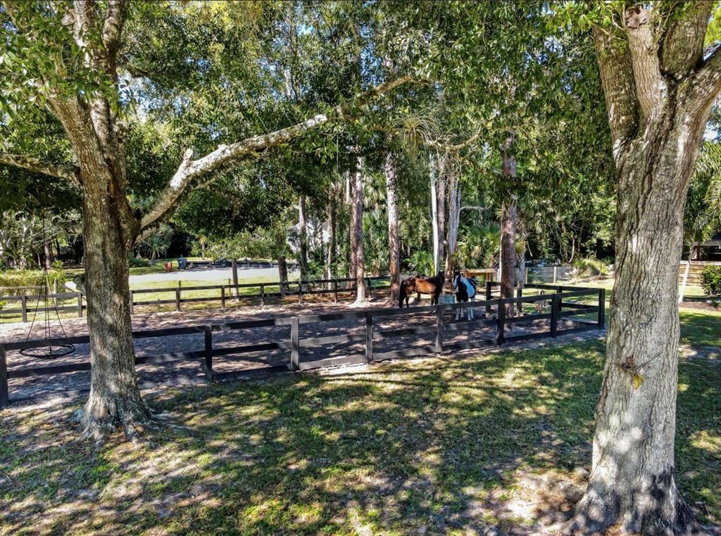 17191 38th Road North Loxahatchee, FL 33470 - Photo 48 of 60 a view of a garden with trees