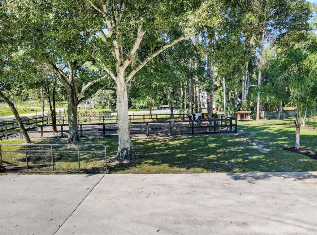 17191 38th Road North Loxahatchee, FL 33470 - Photo 49 of 60 a view of a park with large trees